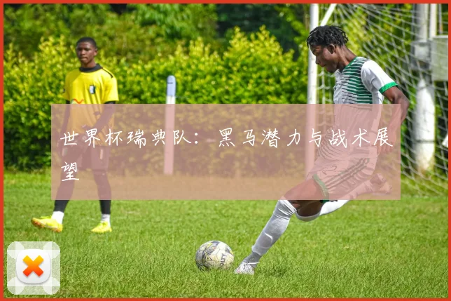 世界杯瑞典队:黑马潜力与战术展望