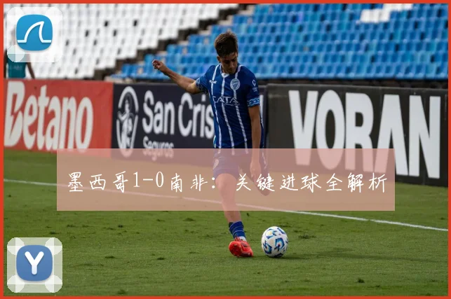 墨西哥1-0南非:关键进球全解析