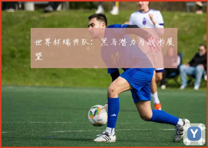 世界杯瑞典队:黑马潜力与战术展望