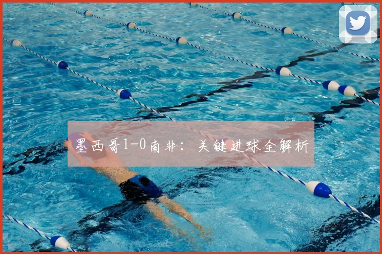 墨西哥1-0南非：关键进球全解析